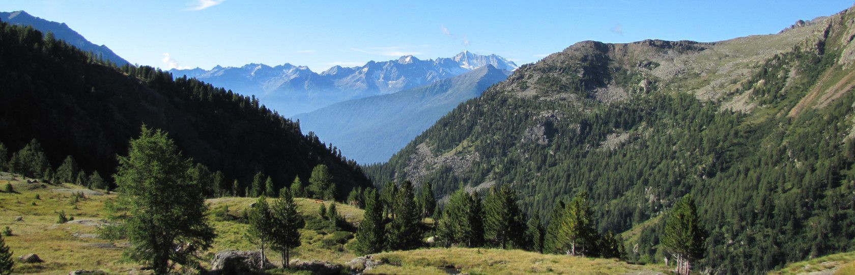 Parco Nazionale Stelvio Val di Pejo