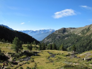 Parco Nazionale Stelvio Val di Pejo