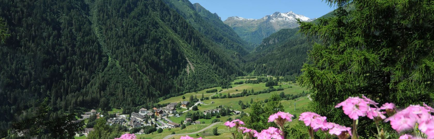 Val di Pejo Trentino