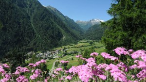 Val di Pejo Trentino