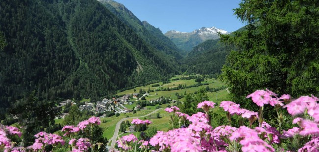 Val di Pejo Trentino