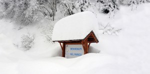 Parco Nazionale dello Stelvio