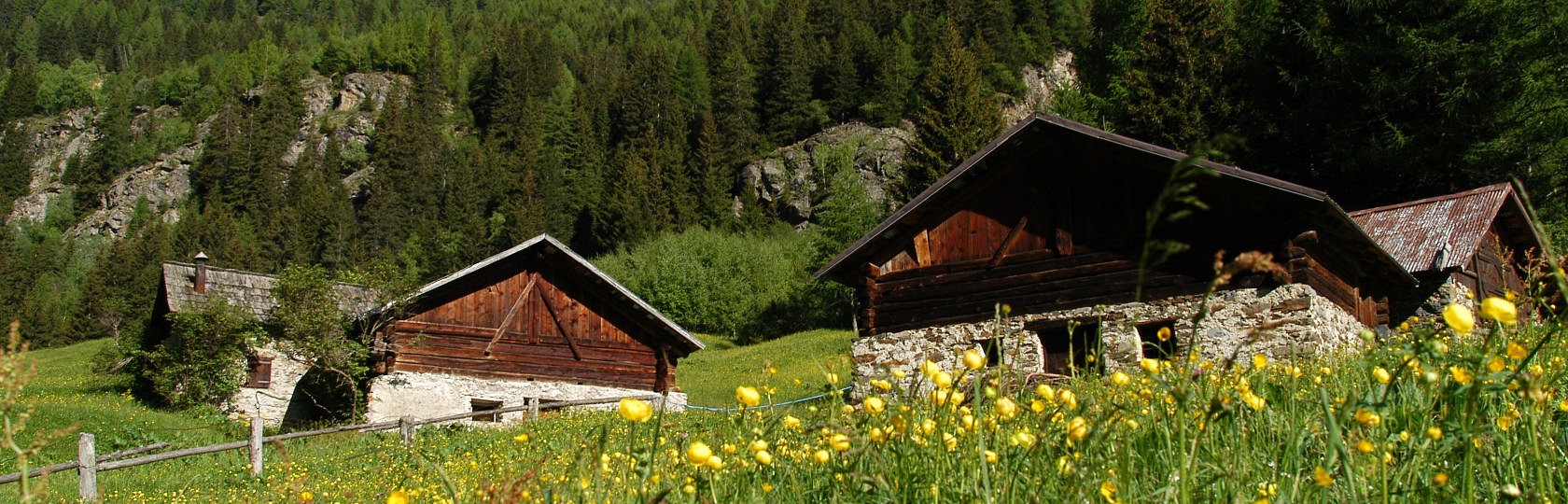 Parco Nazionale dello Stelvio Val di Pejo