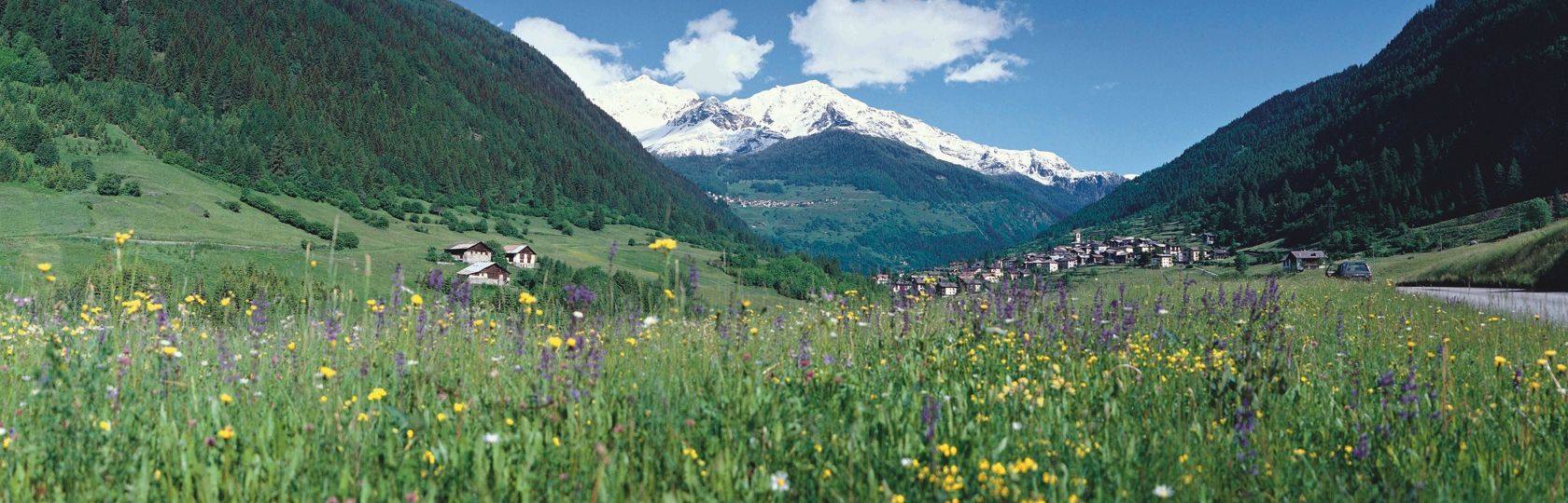 Val di Pejo Trentino