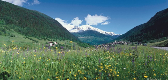 Val di Pejo Trentino