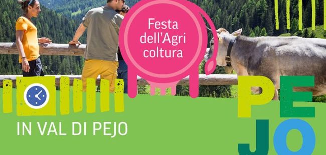 terme pejo